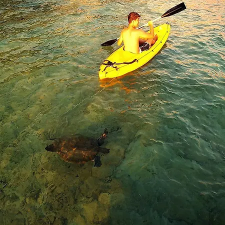 萨赫勒膳食公寓 招待所