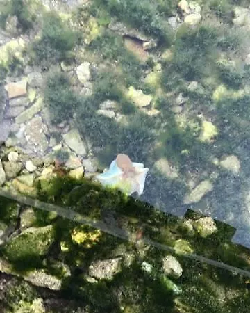 招待所 萨赫勒膳食公寓