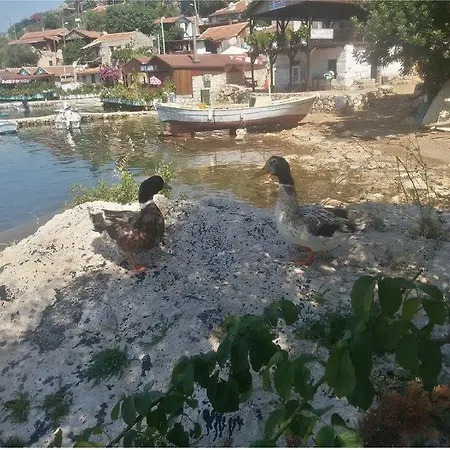 Sahil Penzion Kaleucagız